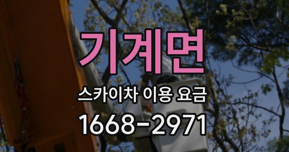 기계면 스카이차 이용 요금