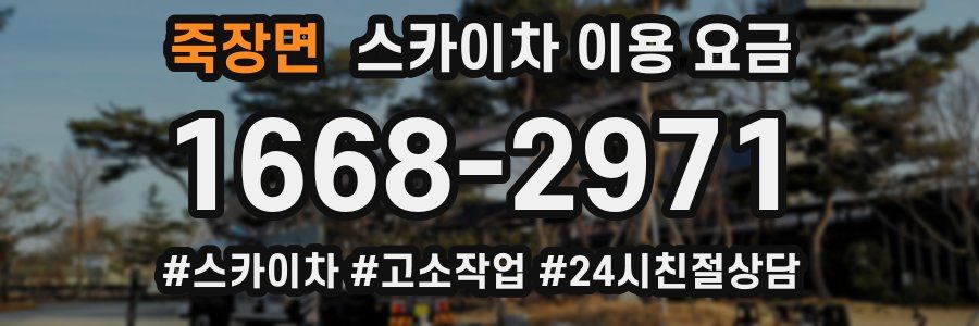 죽장면 스카이차 이용 요금