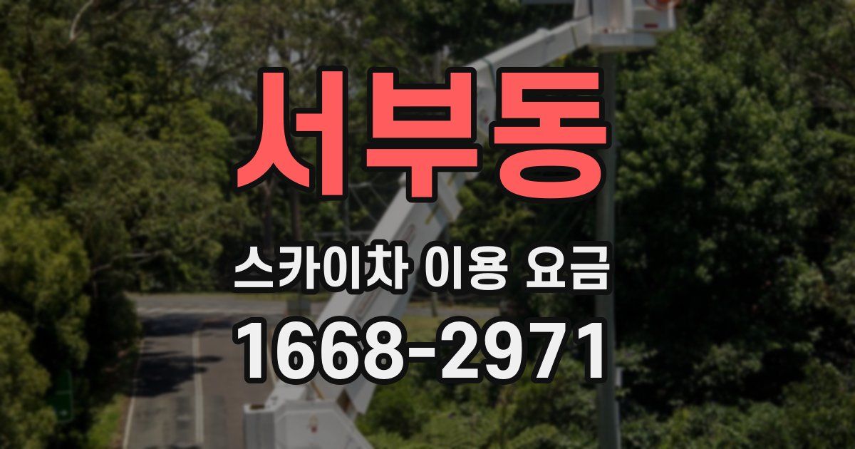 서부동 스카이차 이용 요금