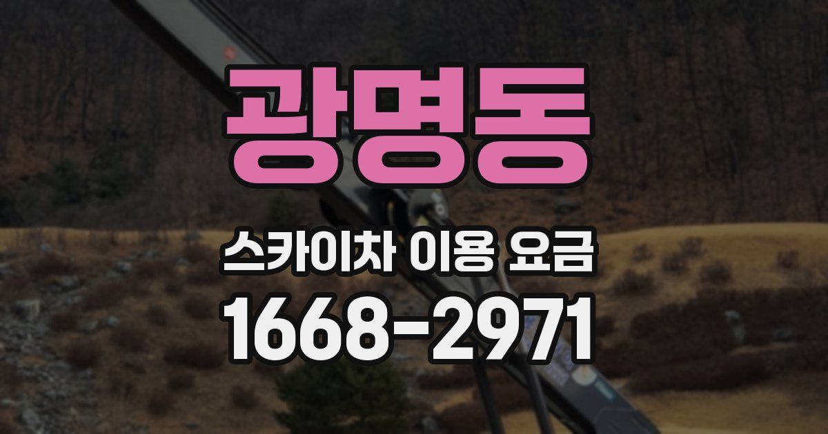 광명동 스카이차 이용 요금
