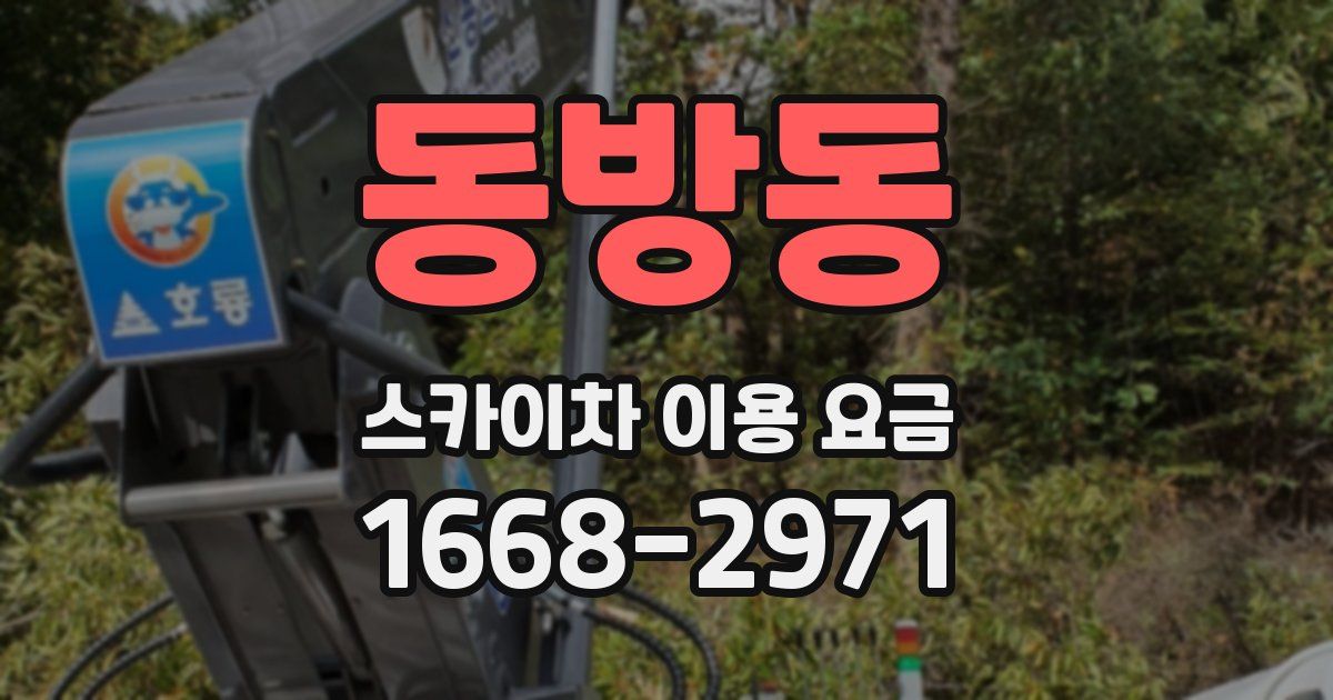 동방동 스카이차 이용 요금