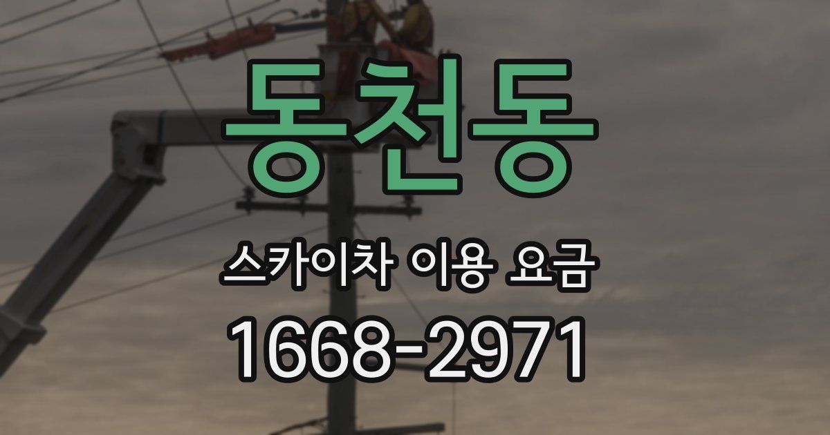 동천동 스카이차 이용 요금