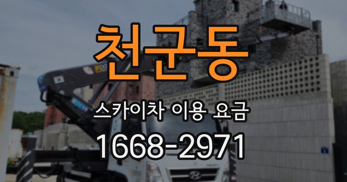 천군동 스카이차 이용 요금