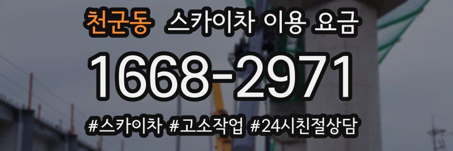 천군동 스카이차 이용 요금