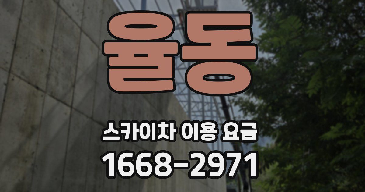 율동 스카이차 이용 요금