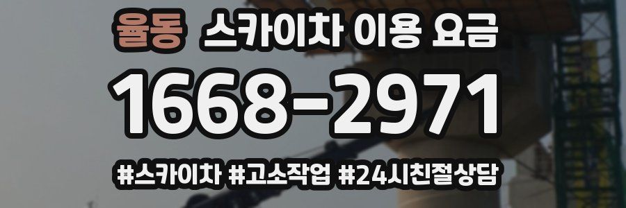 율동 스카이차 이용 요금