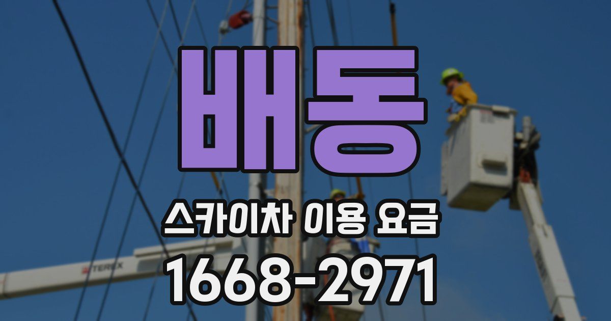 배동 스카이차 이용 요금