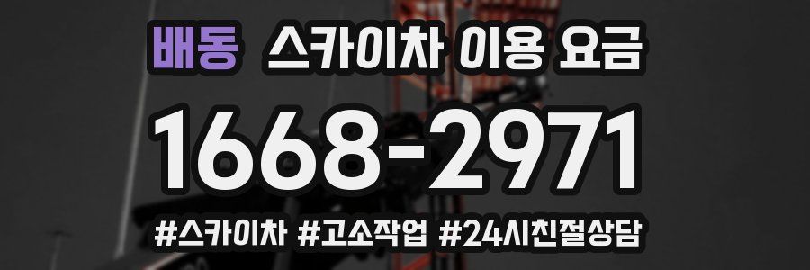 배동 스카이차 이용 요금