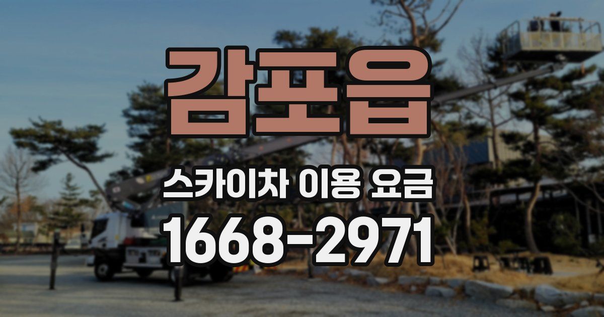 감포읍 스카이차 이용 요금