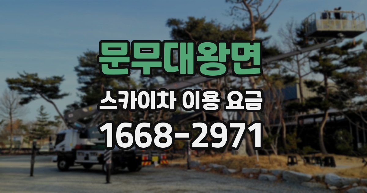 문무대왕면 스카이차 이용 요금