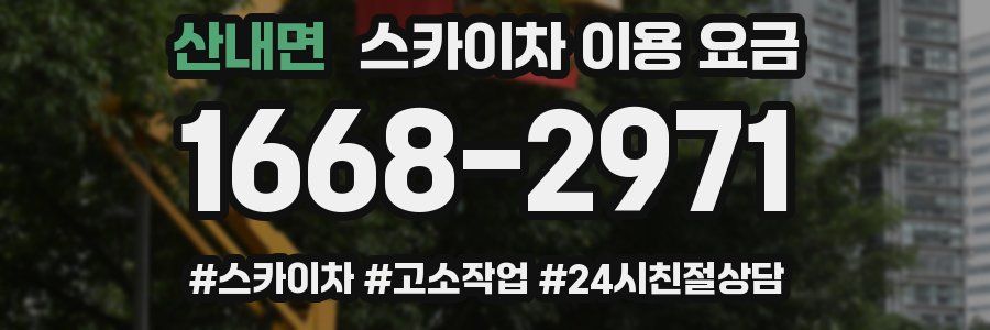 산내면 스카이차 이용 요금