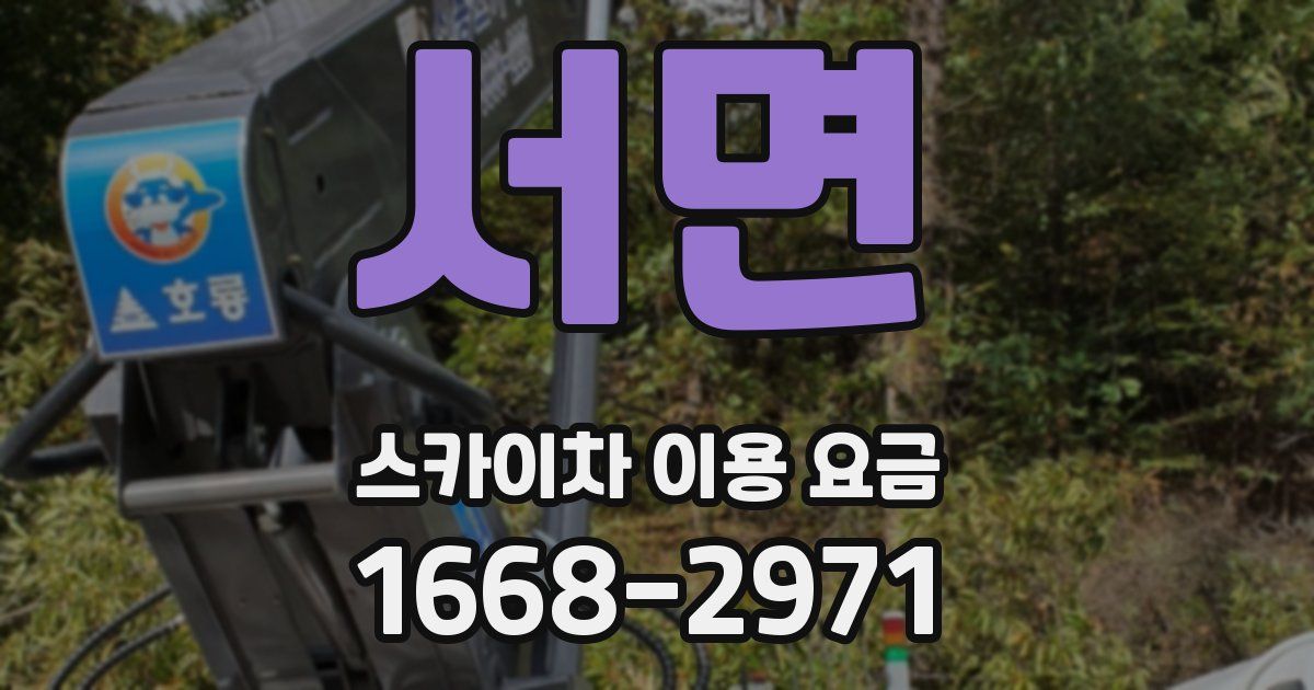 서면 스카이차 이용 요금
