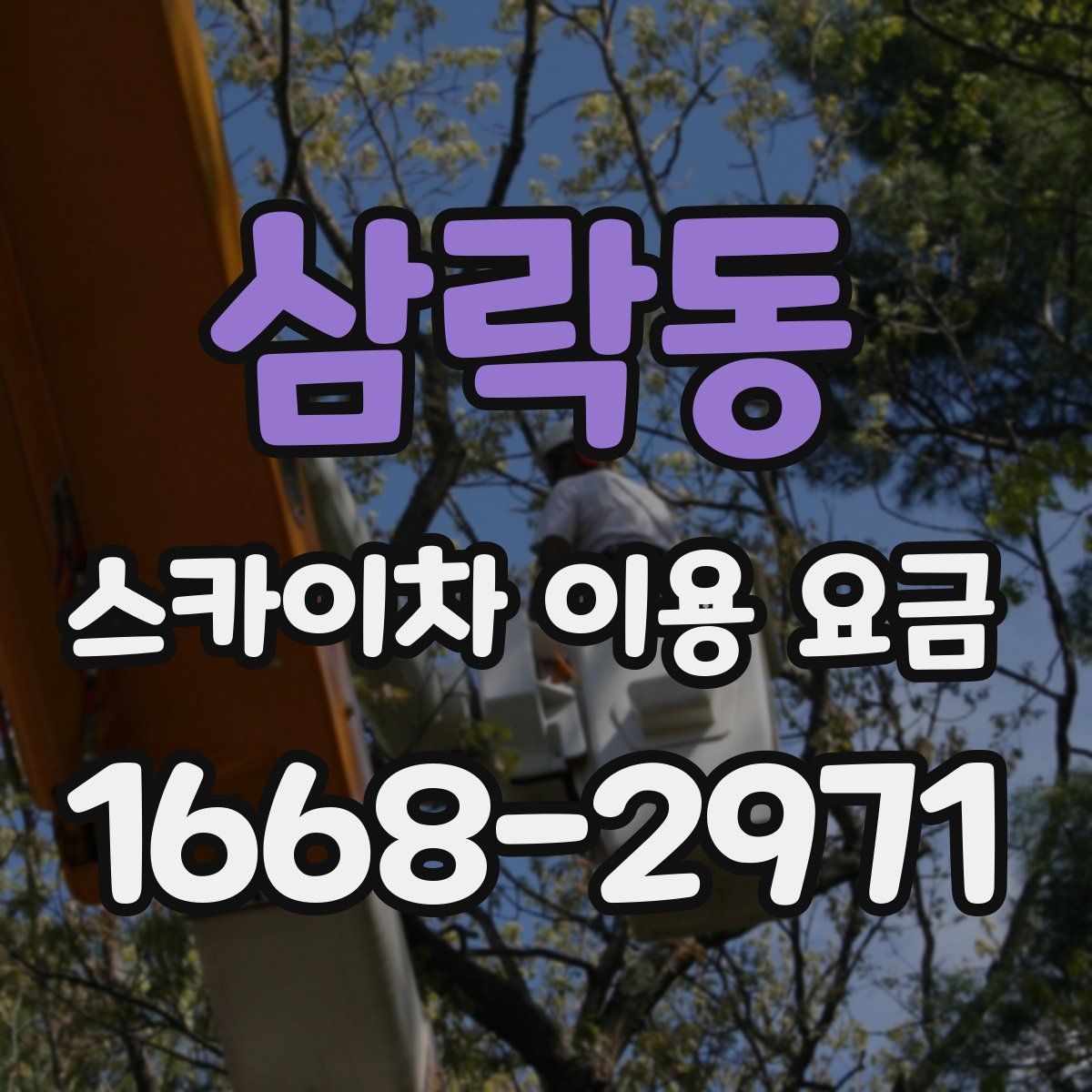 삼락동 스카이차 이용 요금