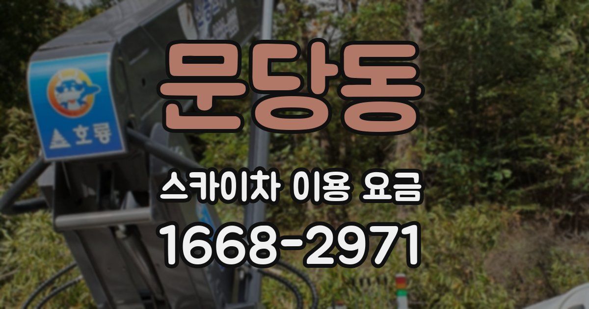 문당동 스카이차 이용 요금