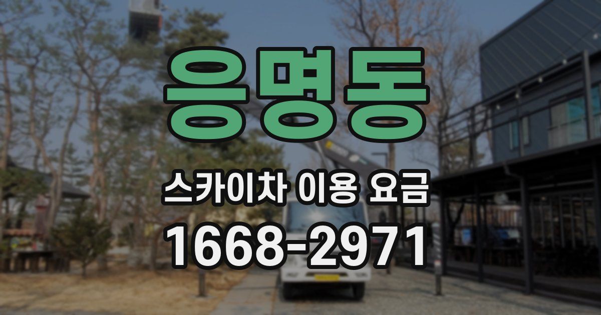 응명동 스카이차 이용 요금