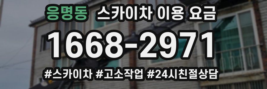 응명동 스카이차 이용 요금