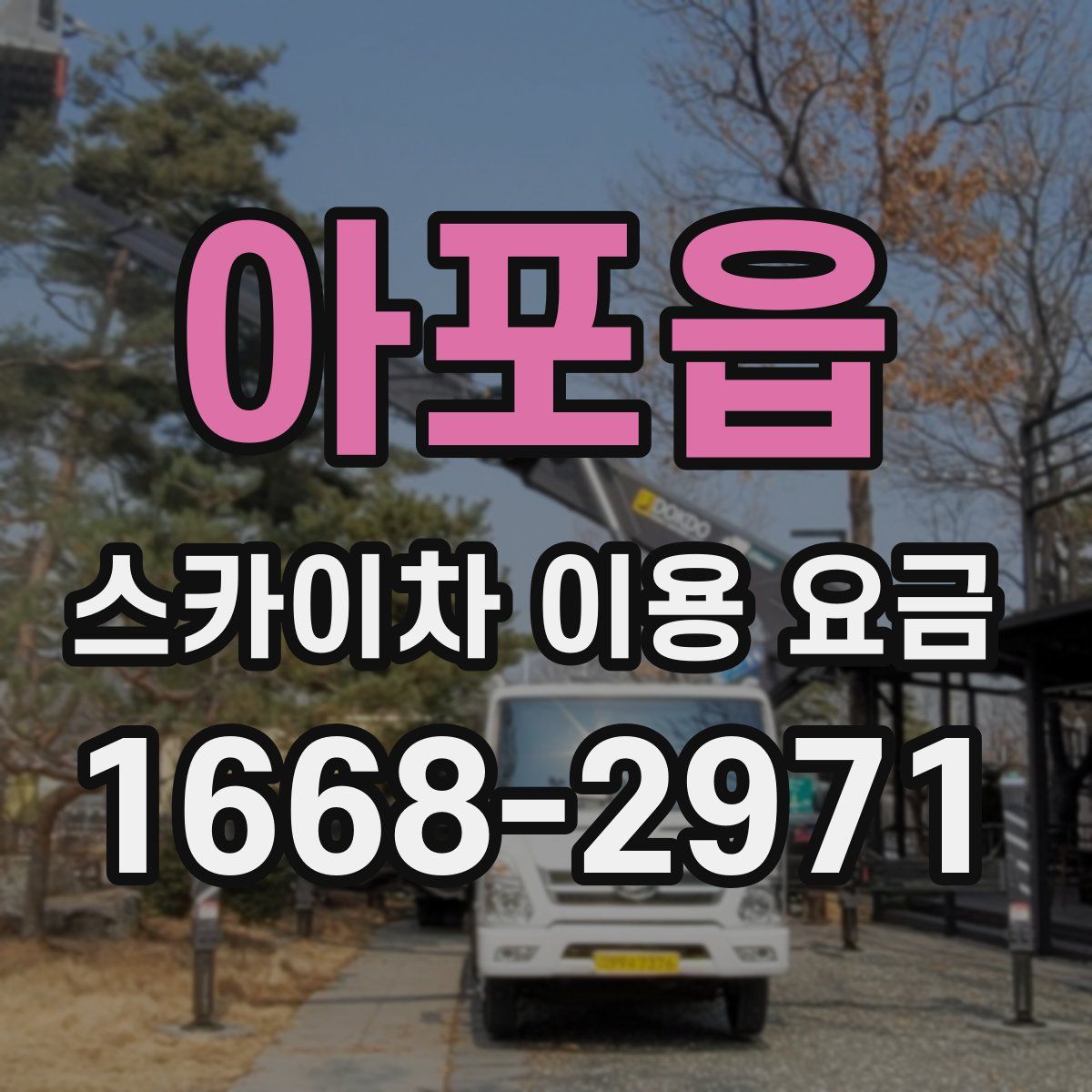 아포읍 스카이차 이용 요금
