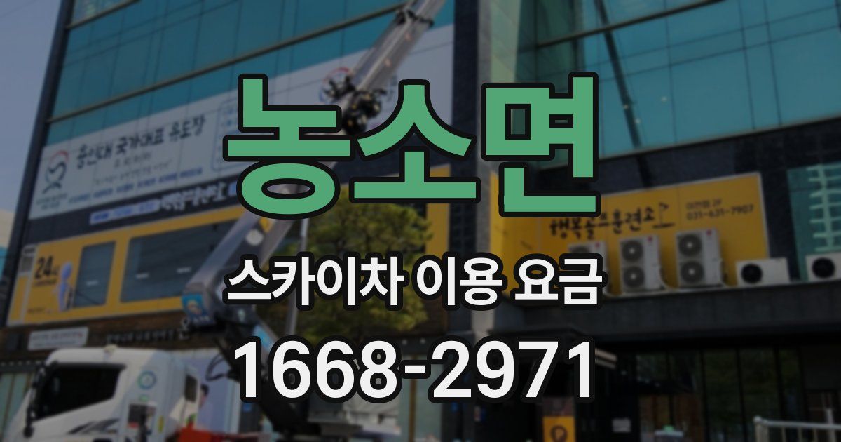 농소면 스카이차 이용 요금