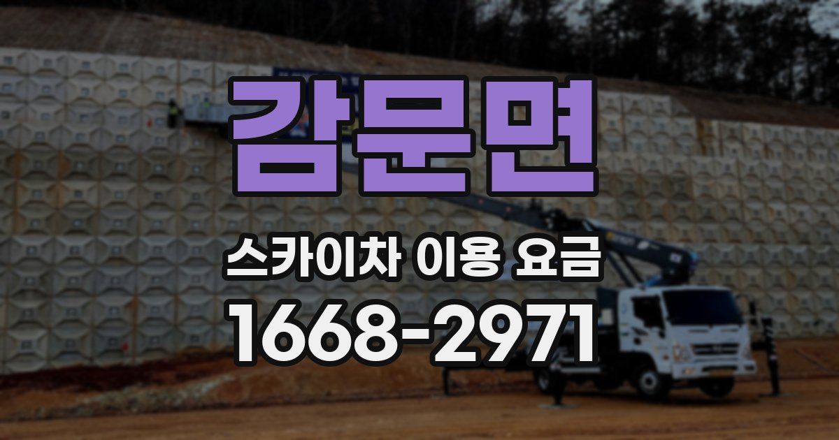 감문면 스카이차 이용 요금