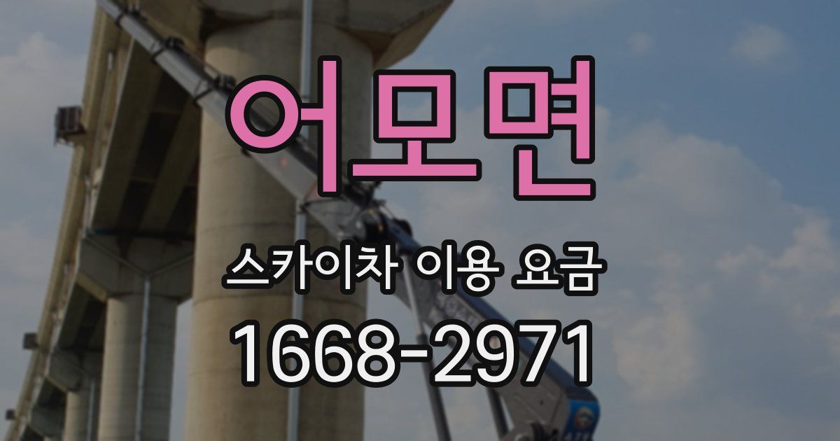 어모면 스카이차 이용 요금