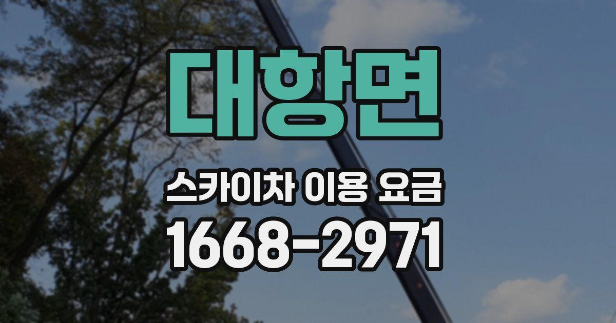 대항면 스카이차 이용 요금