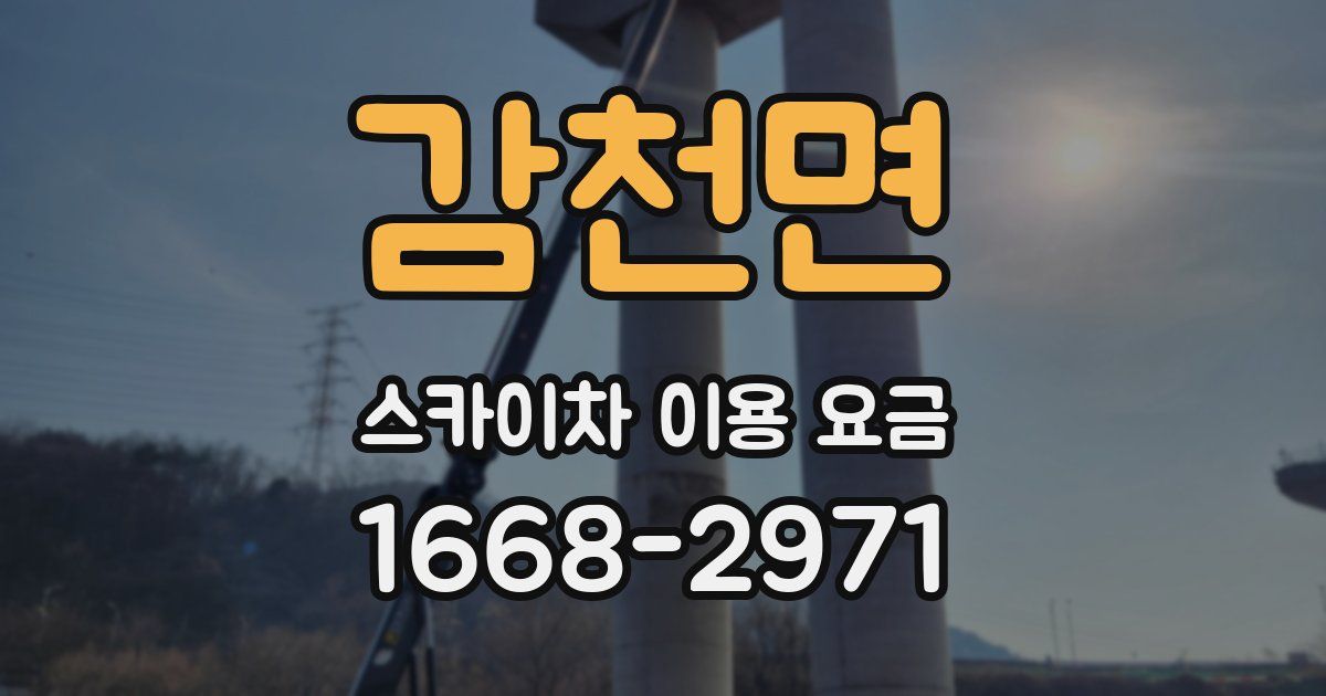 감천면 스카이차 이용 요금