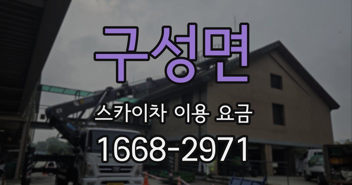 구성면 스카이차 이용 요금