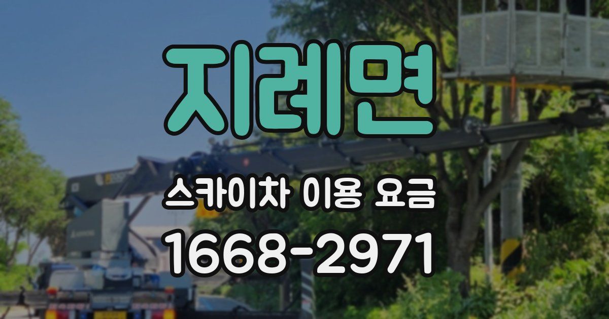 지례면 스카이차 이용 요금