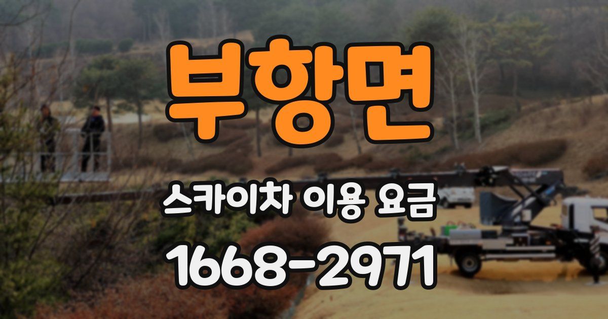 부항면 스카이차 이용 요금