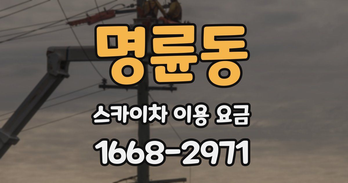 명륜동 스카이차 이용 요금
