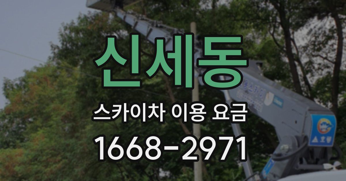 신세동 스카이차 이용 요금