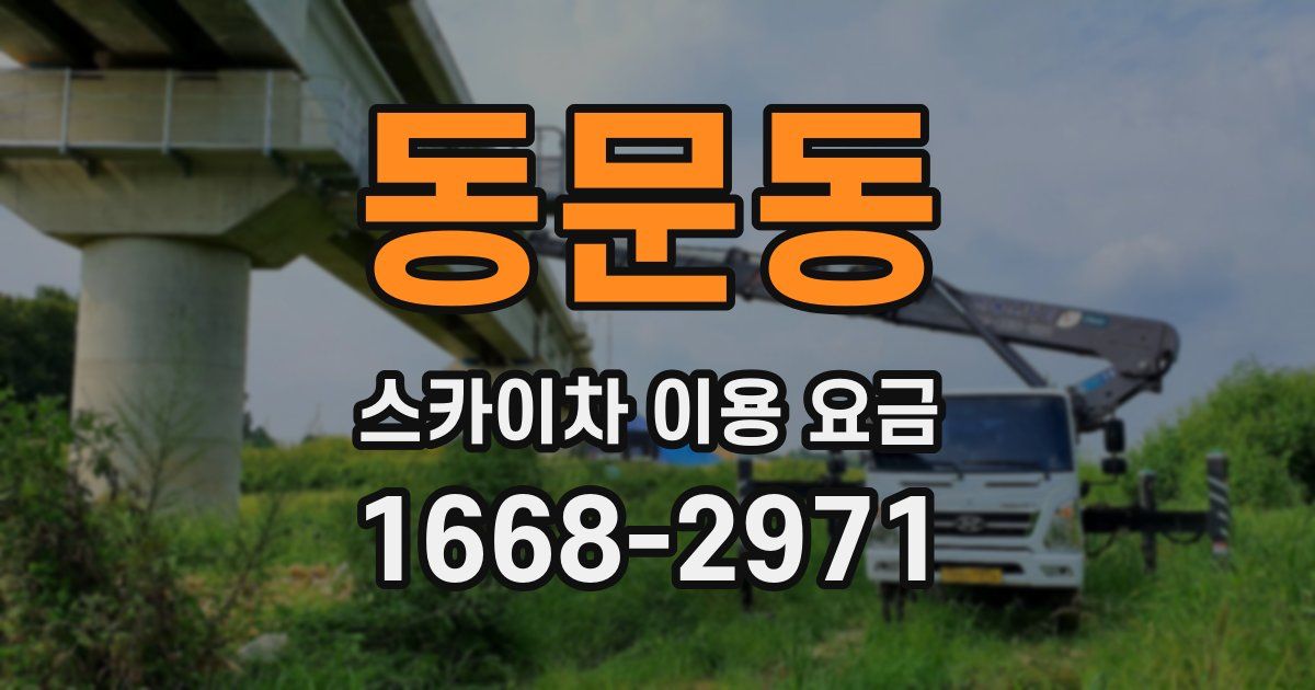 동문동 스카이차 이용 요금