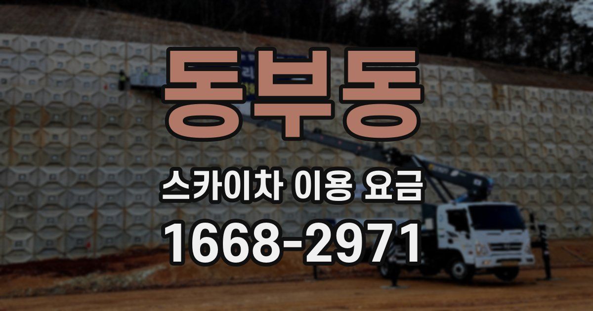 동부동 스카이차 이용 요금