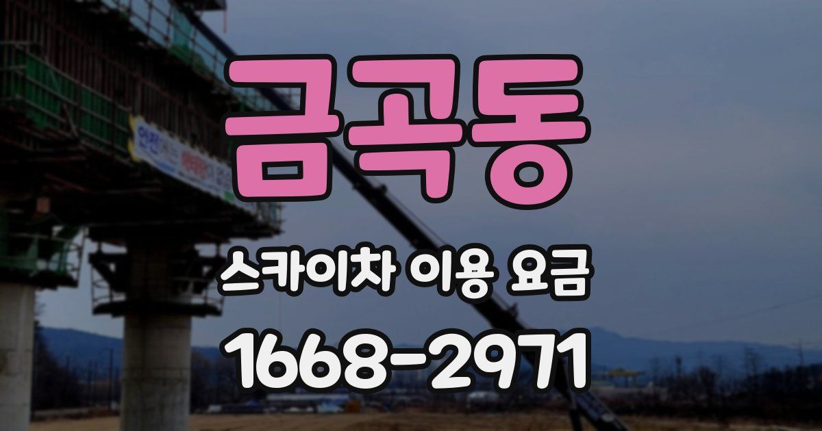 금곡동 스카이차 이용 요금