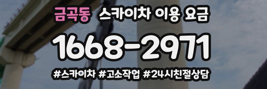 금곡동 스카이차 이용 요금