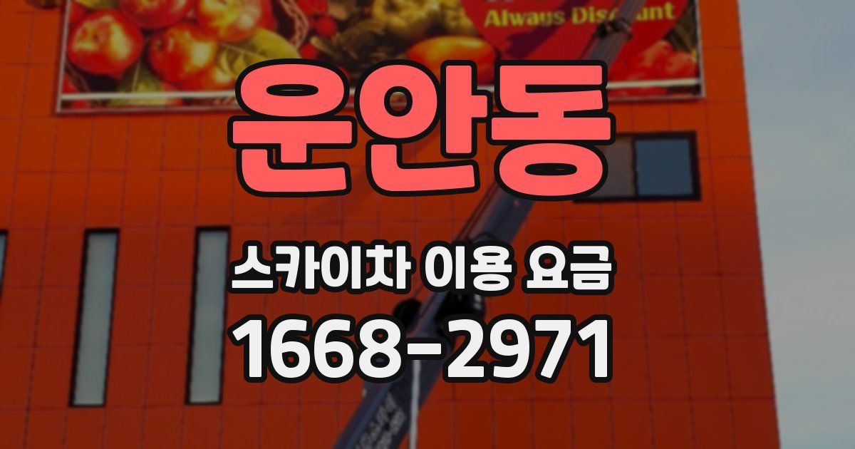 운안동 스카이차 이용 요금