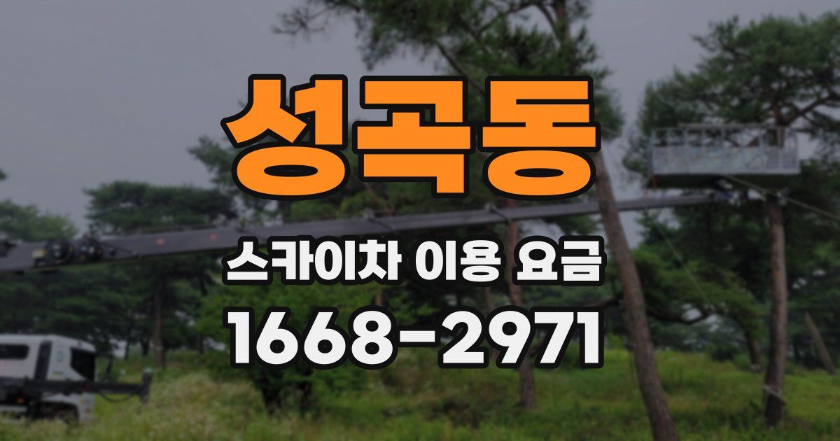 성곡동 스카이차 이용 요금