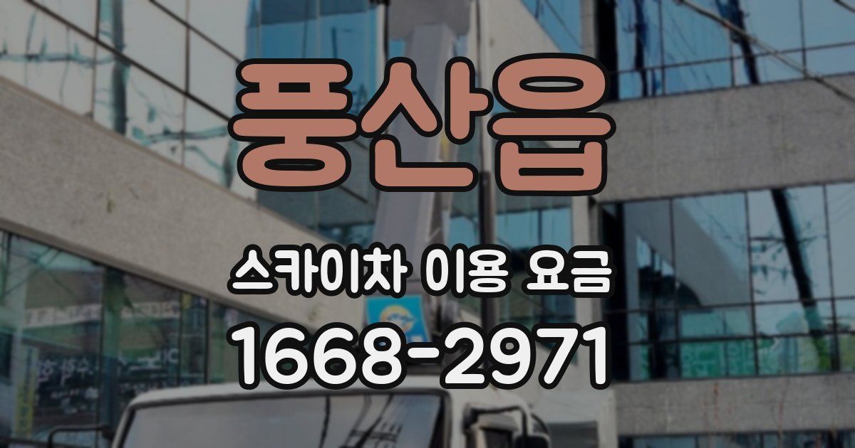 풍산읍 스카이차 이용 요금