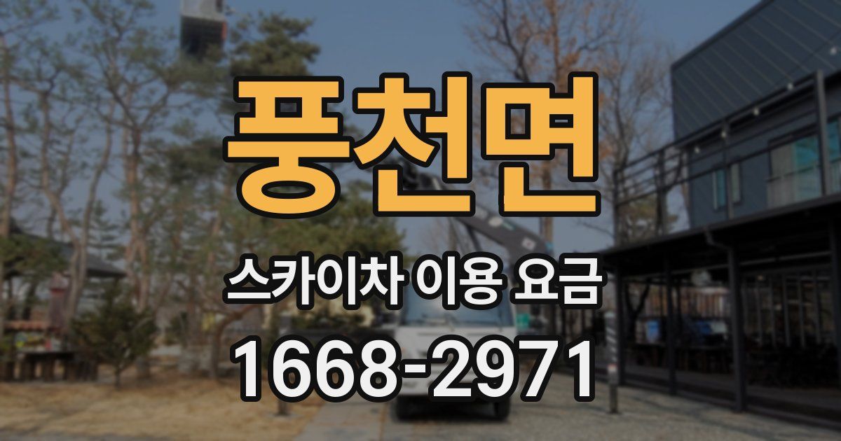 풍천면 스카이차 이용 요금