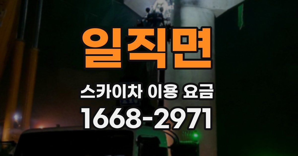일직면 스카이차 이용 요금