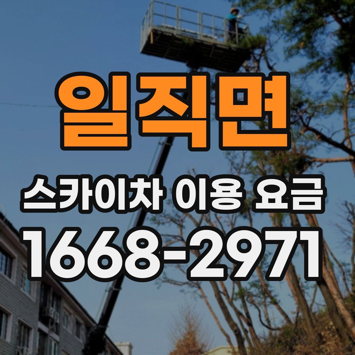 일직면 스카이차 이용 요금