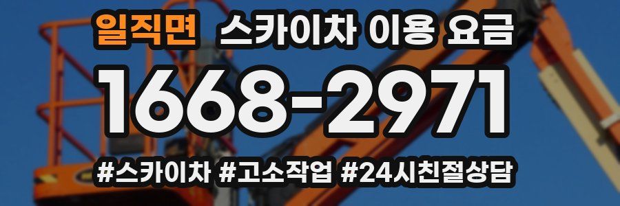 일직면 스카이차 이용 요금