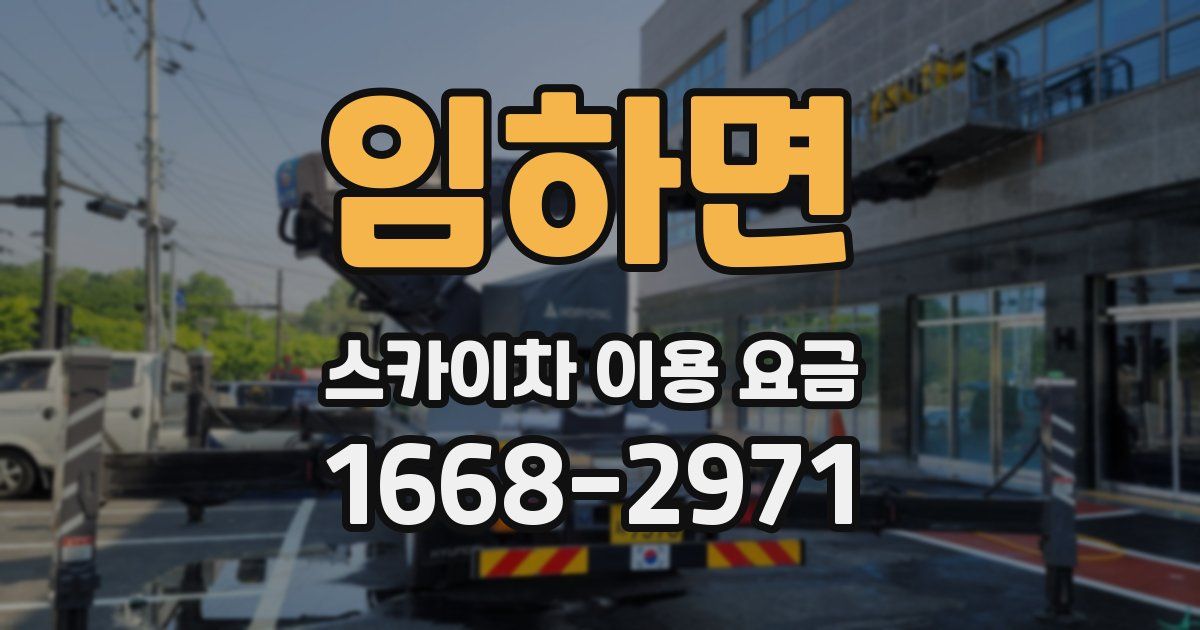임하면 스카이차 이용 요금