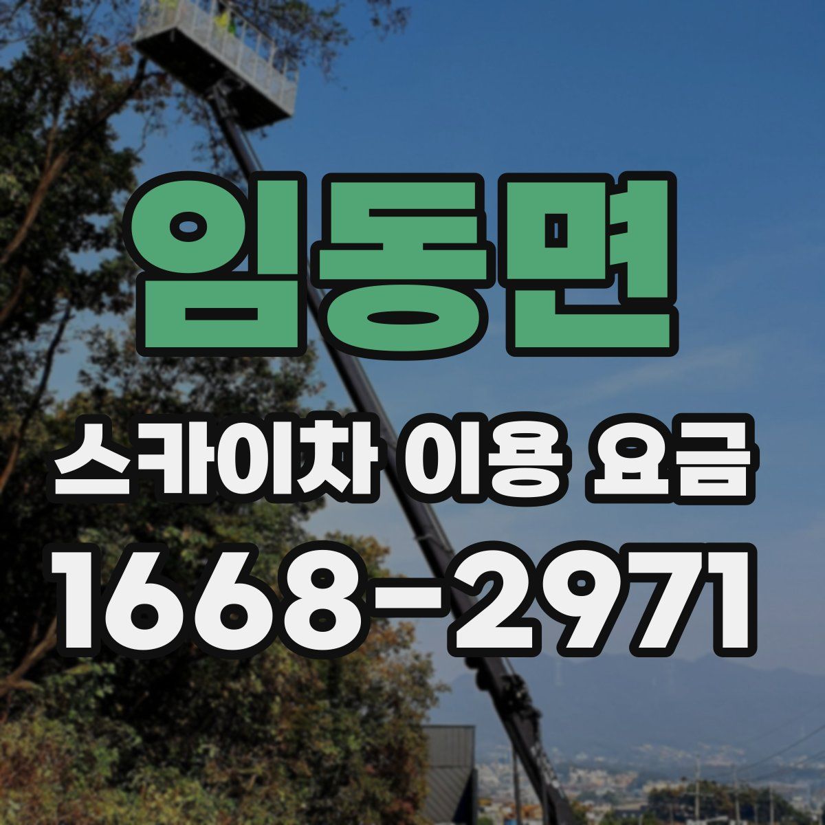 임동면 스카이차 이용 요금