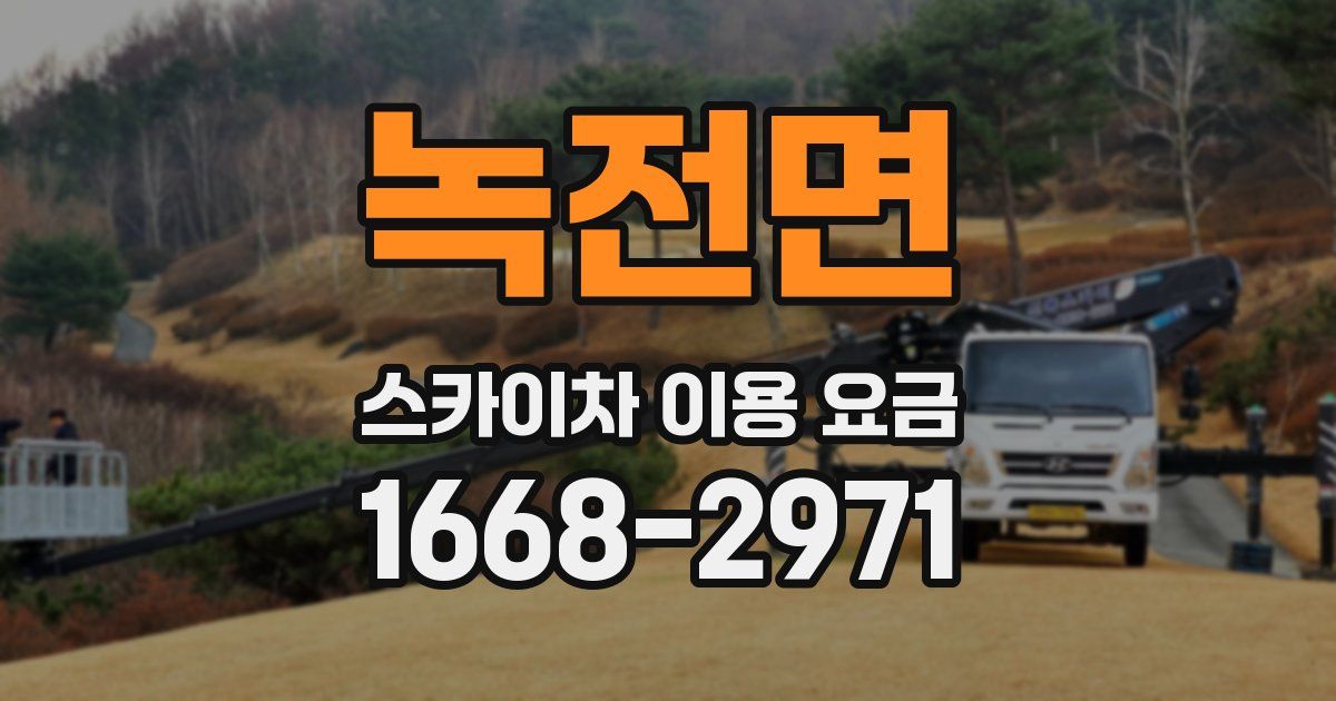 녹전면 스카이차 이용 요금