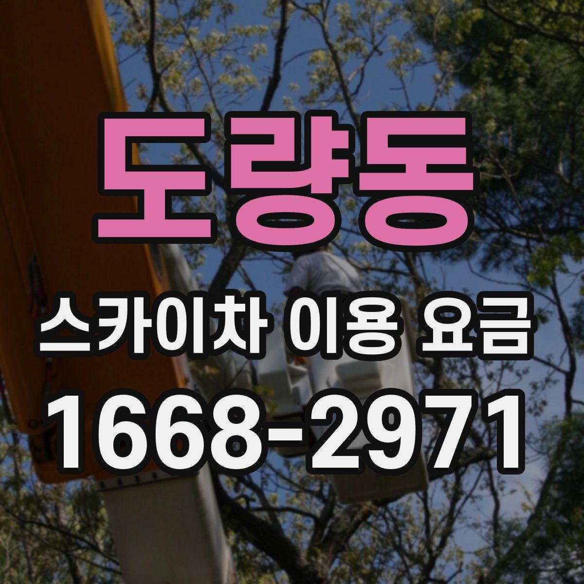 도량동 스카이차 이용 요금