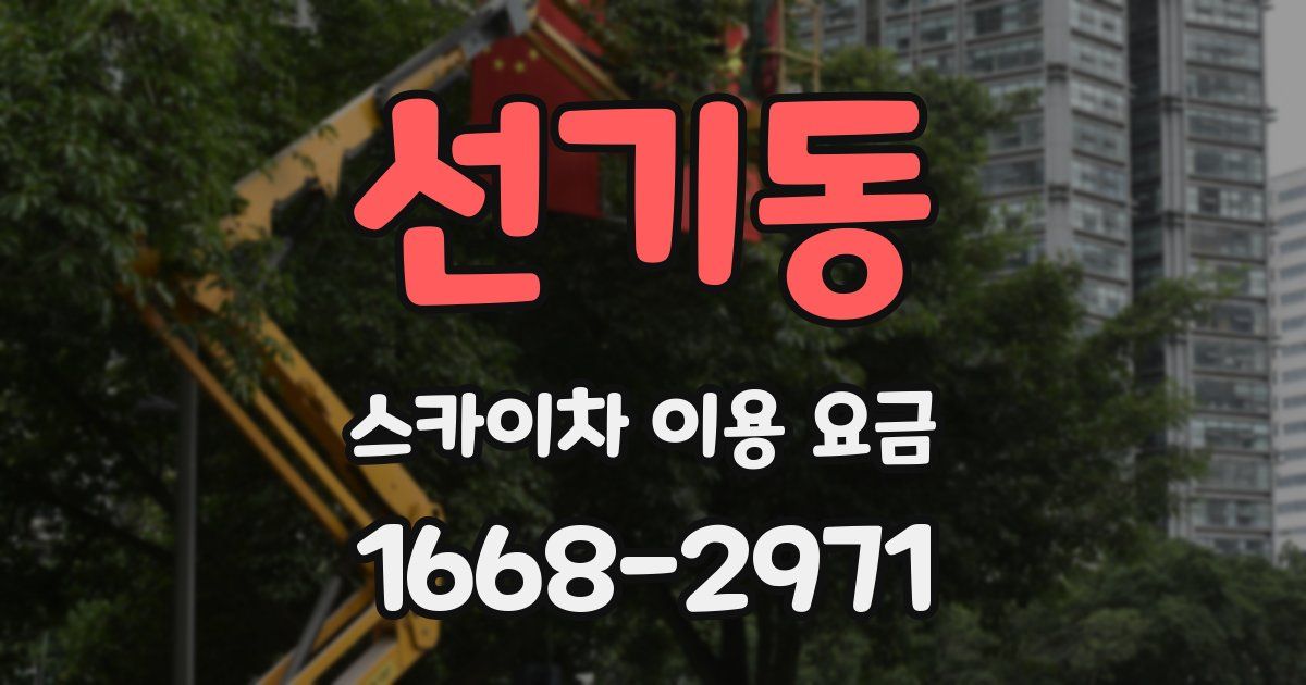 선기동 스카이차 이용 요금