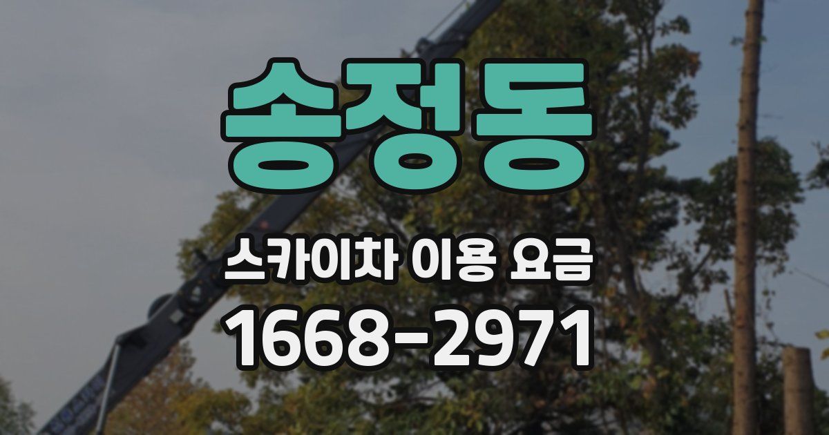 송정동 스카이차 이용 요금