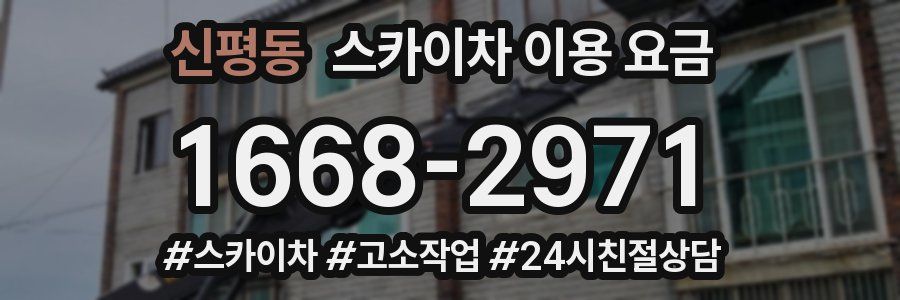 신평동 스카이차 이용 요금