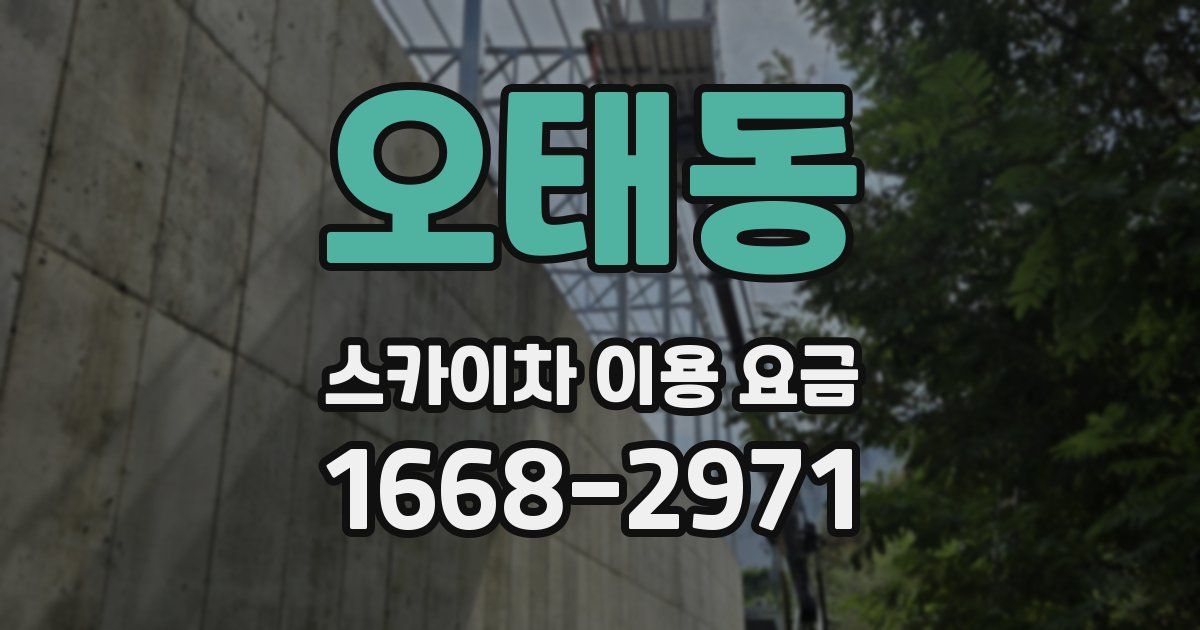 오태동 스카이차 이용 요금